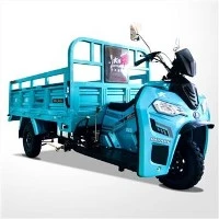1000 কেজি লোড 300CC কার্গো ট্রাইসাইকেল
