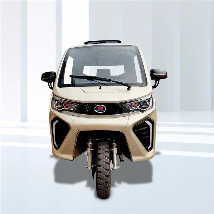 Special 3 Wheels Carga Tricycle