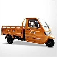 300cc থ্রি হুইল কার্গো ট্রিমোটো