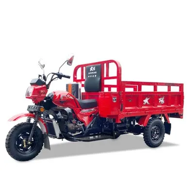 150 সিসি 175 সিসি 200 সিসি পেট্রোল পেট্রোল কারগেরো ট্রাইকিক্লো মোটোসিক্লেটা