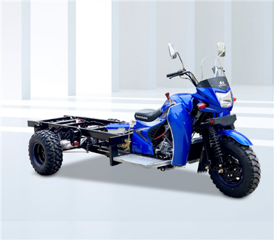 DAYANG নতুন 300cc পেট্রোল তিন চাকার কার্গো ট্রাইসাইকেল